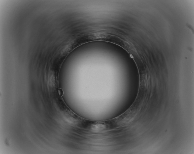 X0000096380220200801311306