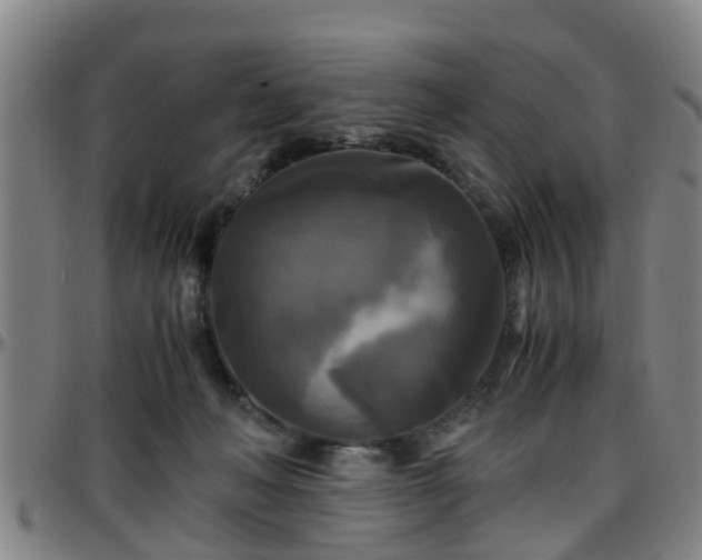 X0000096380222200801311306