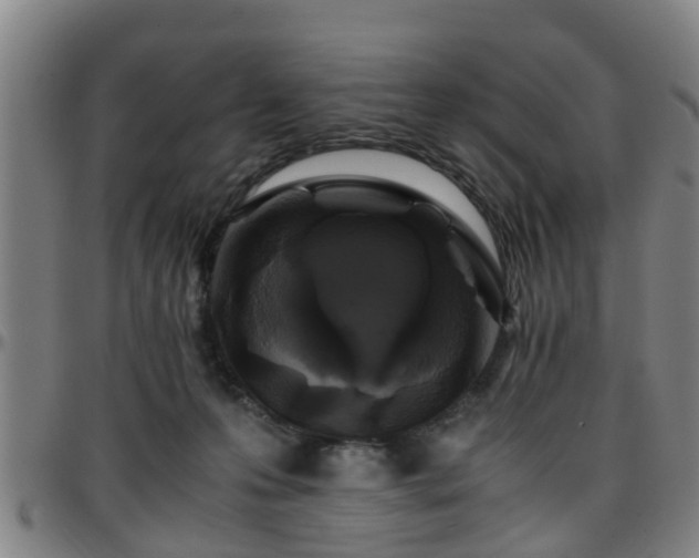 X0000096380223200801311306