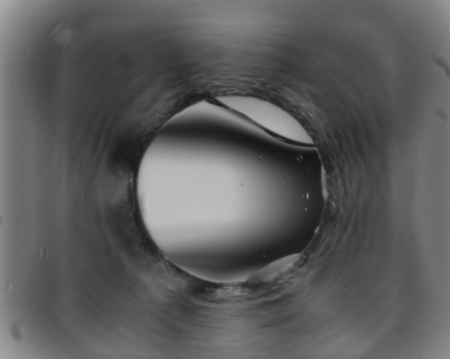 X0000096380225200801311306