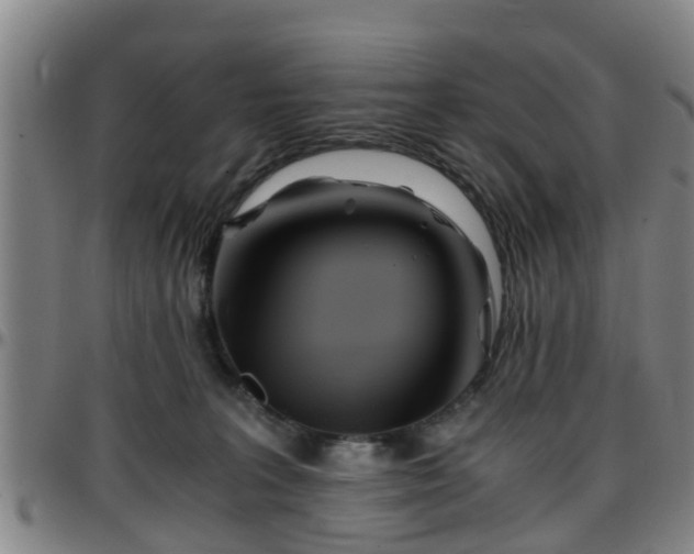 X0000096380227200801311306