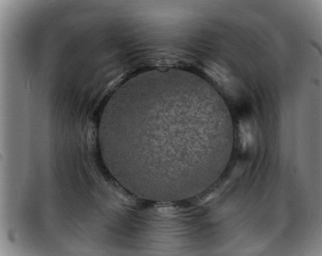 X0000096380228200801311306
