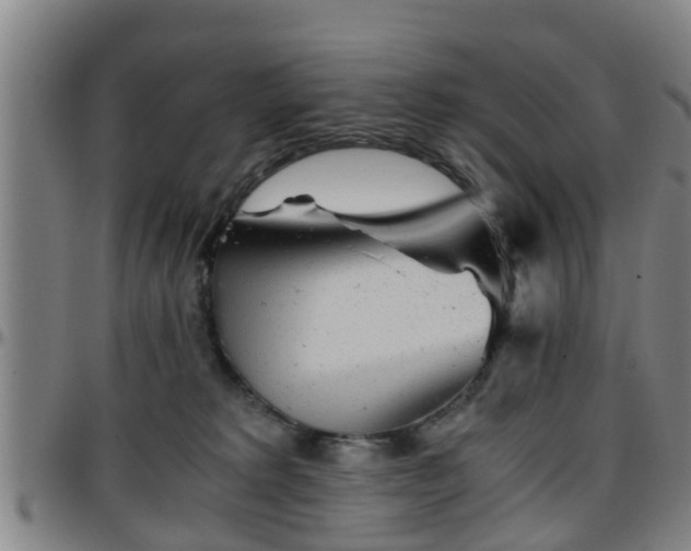 X0000096380229200801311306