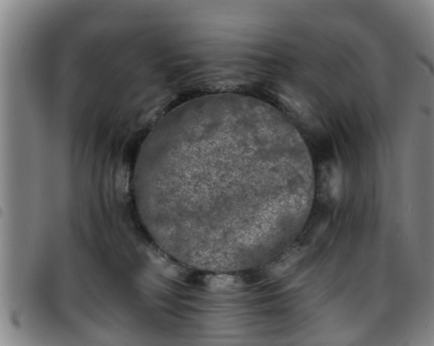 X0000096380230200801311306