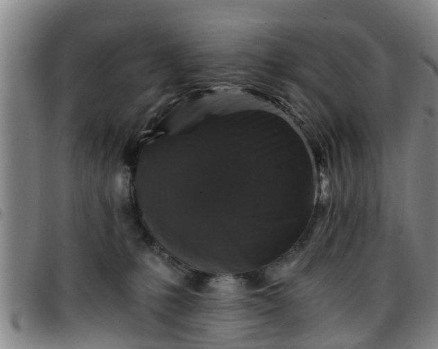 X0000096380231200801311306
