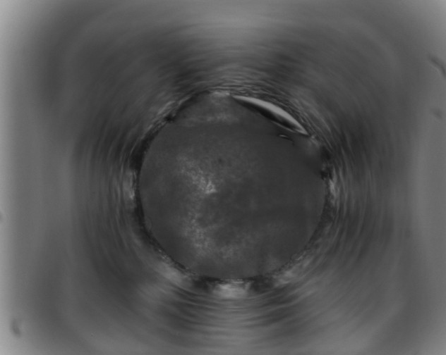 X0000096380232200801311306