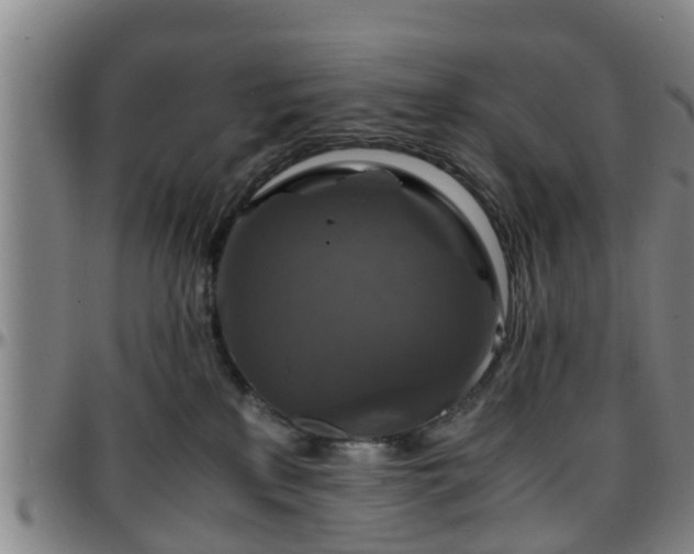 X0000096380233200801311306