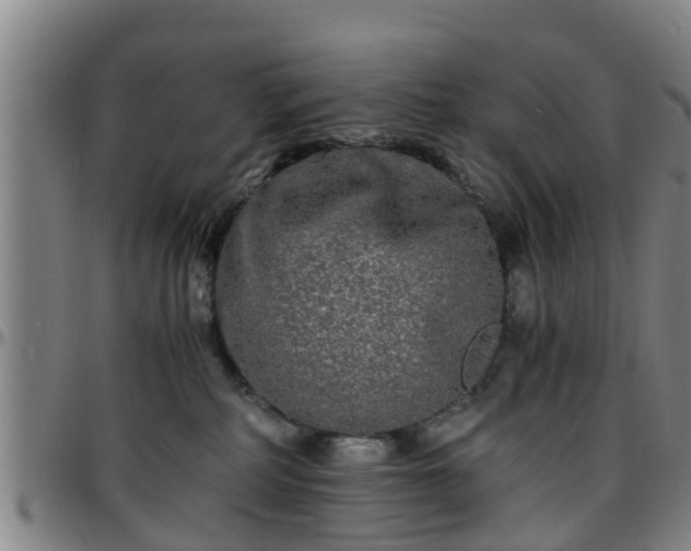 X0000096380234200801311306