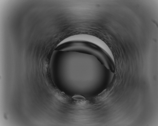 X0000096380235200801311306