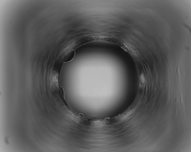 X0000096380238200801311306