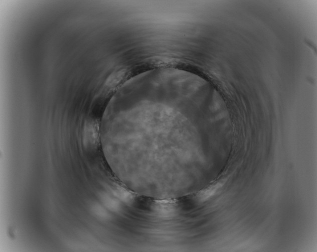 X0000096380240200801311306
