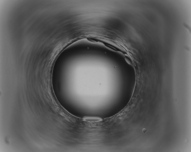 X0000096380241200801311305