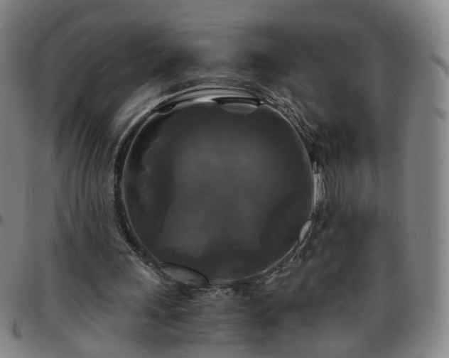X0000096380243200801311305