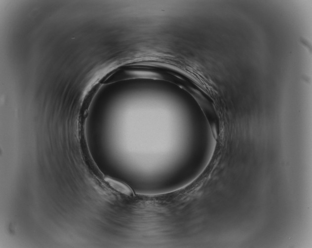 X0000096380244200801311305