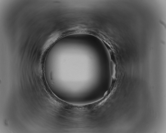 X0000096380245200801311305