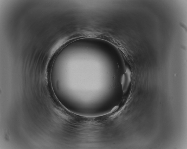 X0000096380246200801311305