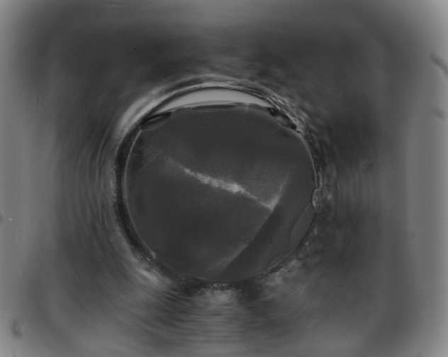 X0000096380247200801311305