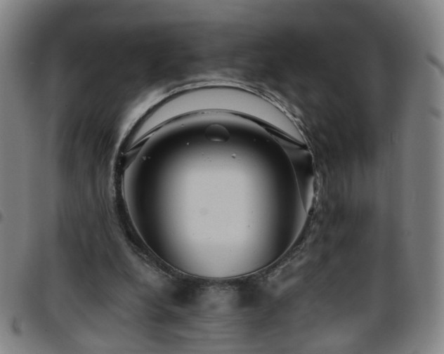 X0000096380248200801311305