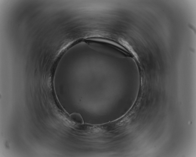 X0000096380249200801311305