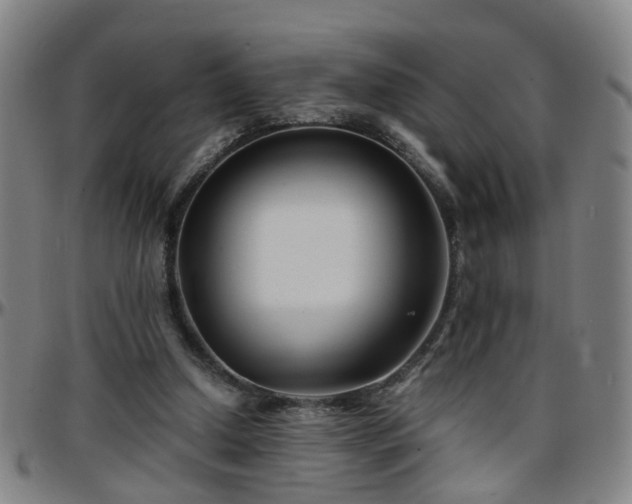 X0000096380250200801311305