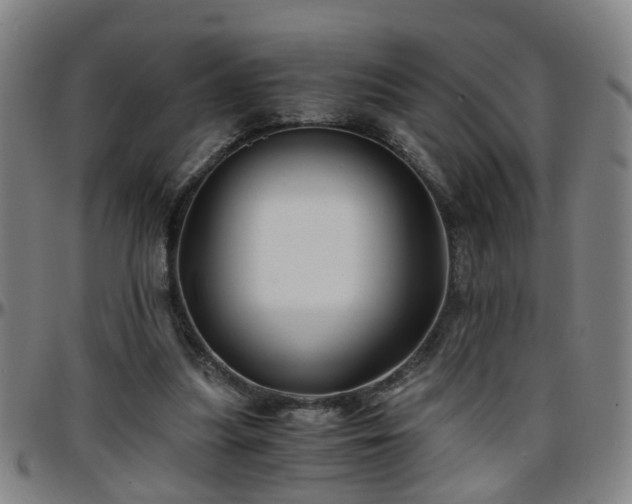 X0000096380251200801311305