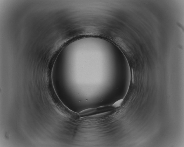 X0000096380252200801311305