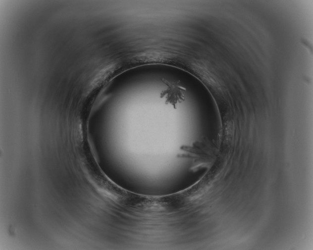 X0000096380254200801311305