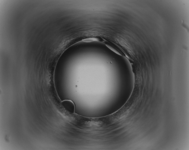 X0000096380255200801311305