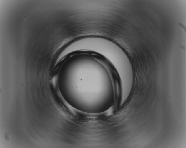 X0000096380256200801311305