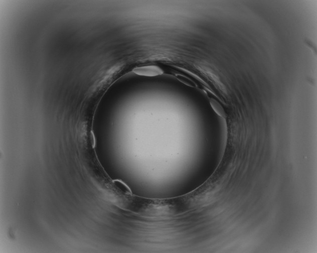 X0000096380260200801311305