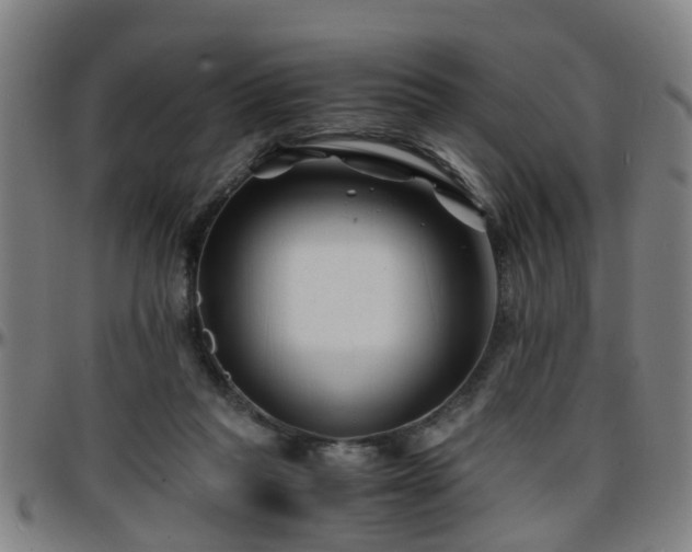 X0000096380261200801311305