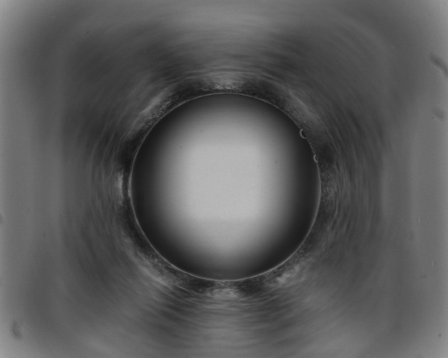 X0000096380262200801311305
