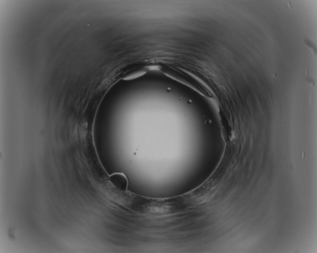 X0000096380263200801311305