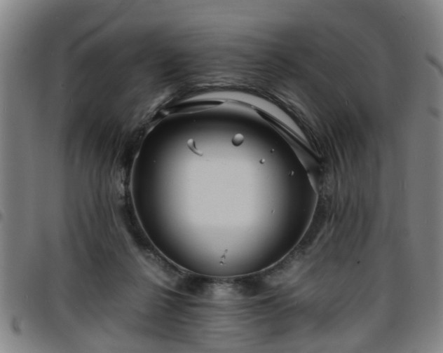 X0000096380264200801311305