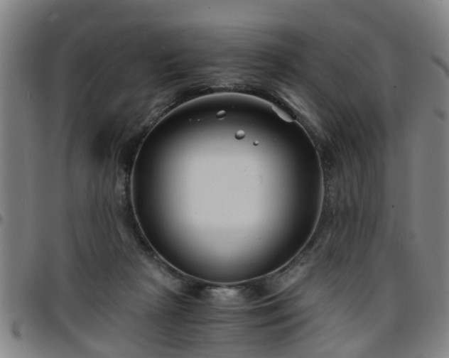 X0000096380265200801311305