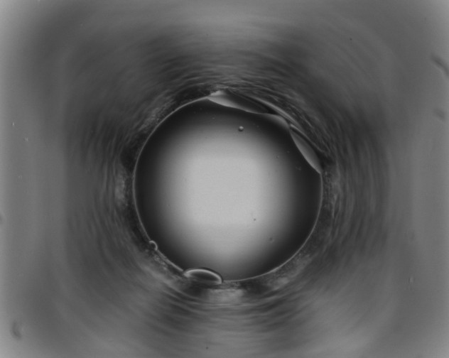 X0000096380266200801311305