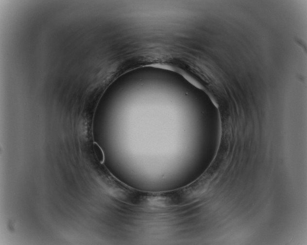 X0000096380268200801311305