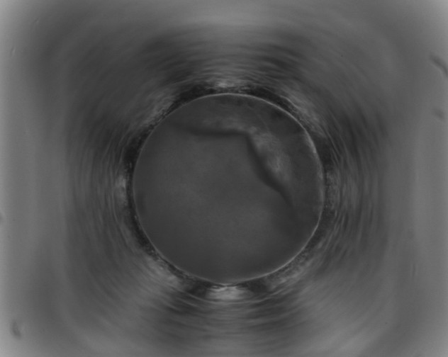 X0000096380269200801311305