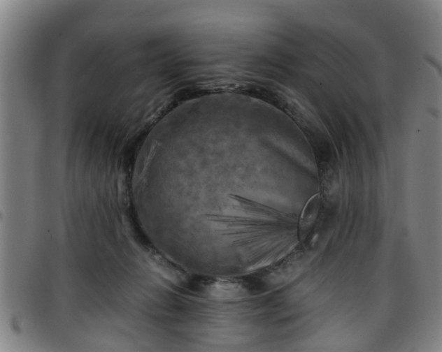 X0000096380270200801311306