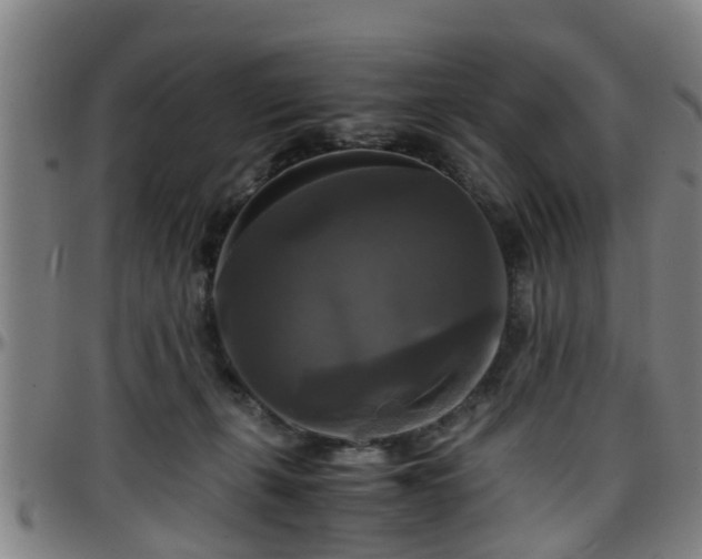 X0000096380271200801311306
