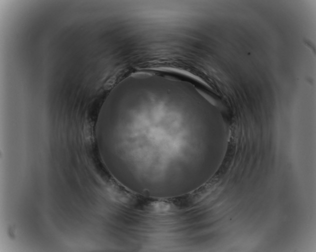 X0000096380272200801311306