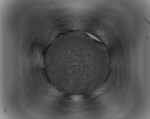 X0000096380273200801311306
