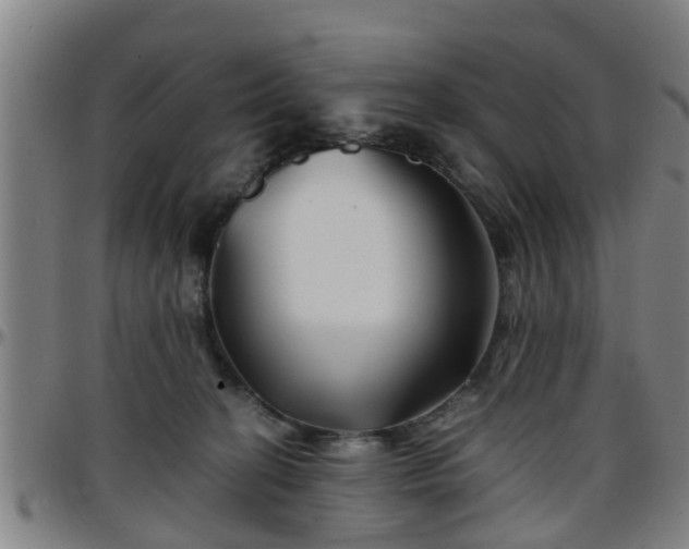 X0000096380274200801311306