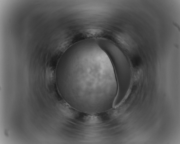 X0000096380276200801311306