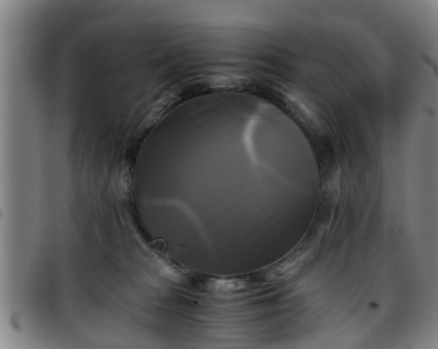 X0000096380277200801311306