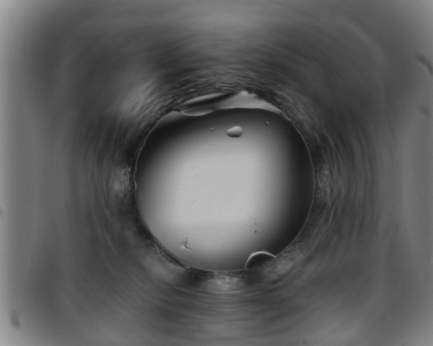 X0000096380278200801311306