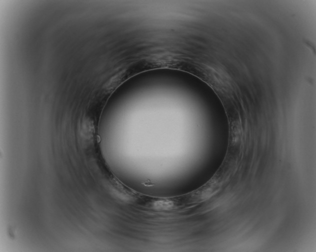 X0000096380279200801311306