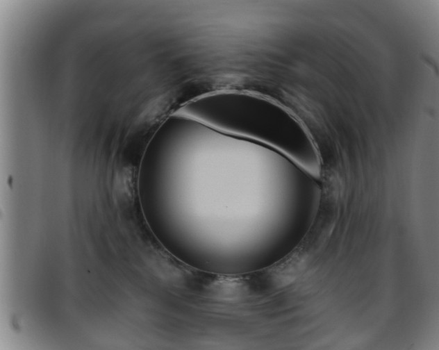 X0000096380280200801311306