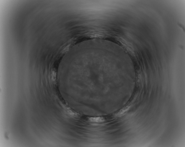 X0000096380281200801311306