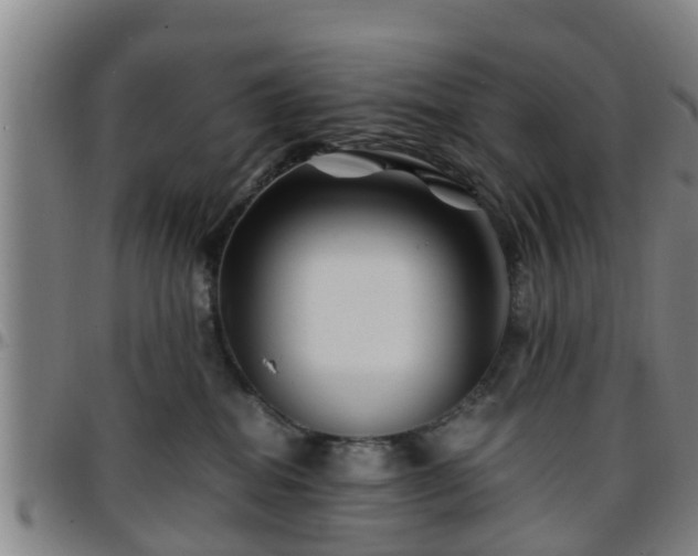 X0000096380282200801311306